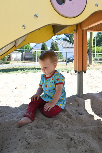 Biowolk Shirt Short Sleeve Space