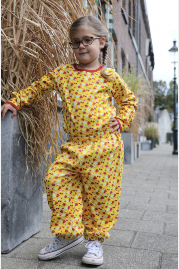 Biowolk Shirt Long Sleeve Fruit